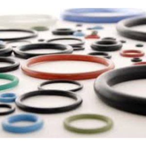 Inicio 10 Juntas Tóricas